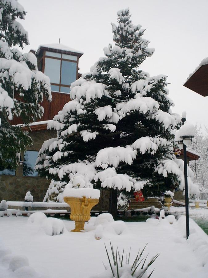 Хотел Галина Палас Srem Exterior foto